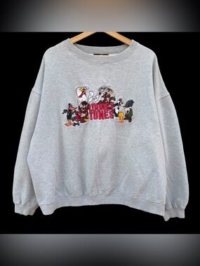 Vintage 90s Looney Tunes Embroidered Sweatshirt Gray Boxy Size XL Warner Bros